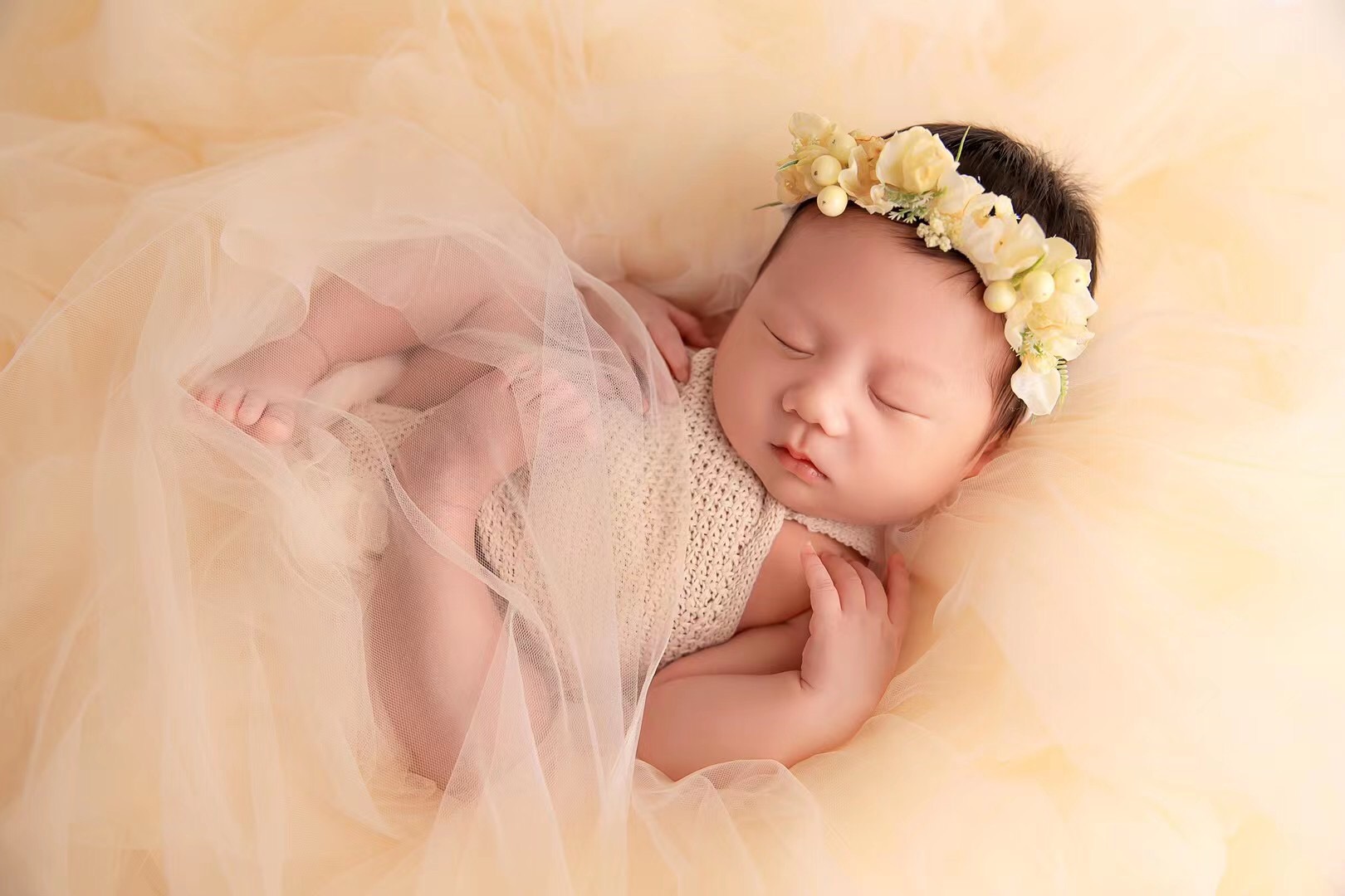 Newborn Photography Props Mesh - Photography Newborn ulasan dan harga
